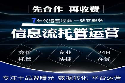 百度竞价广告的投放策略与成功案例分析